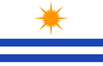 Bandeira de cidade Palmas