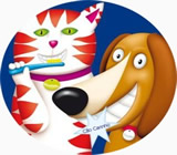 Banho e Tosa de Animais em Palmas