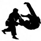 Hapkido em Palmas