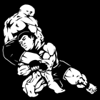 Jiu Jitsu em Palmas