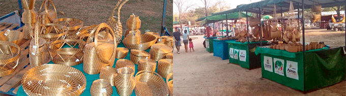 Feira do Bosque Palmas