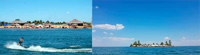 Ilha Canela Palmas