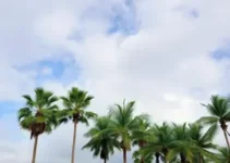 previsão do tempo em Palmas