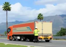 lei municipal Palmas transporte cargos