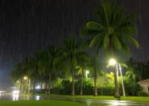 chuva em palmas
