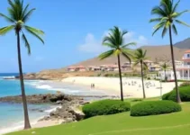 Palmas Férias