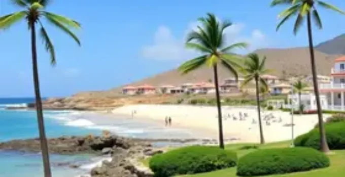 Palmas Férias