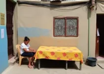 aluguel social Palmas