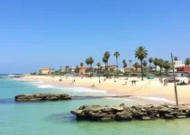 programação do palmas férias