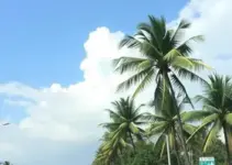 alerta amarelo