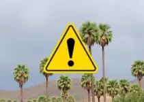 alerta amarelo
