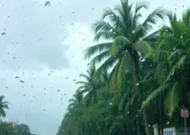 chuva rápida em Palmas