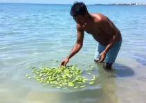 Inclusão Produtiva