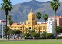 matrículas e transferências em escolas de Palmas