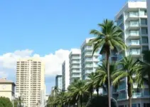 Plano Diretor Palmas