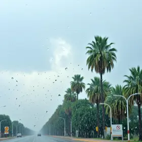 chuva em Palmas