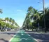 prefeitura de palmas