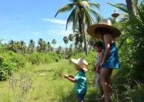 Programações educativas fauna silvestre Palmas