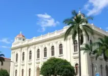 vereadores de Palmas