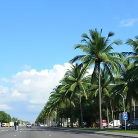 Resolve Palmas