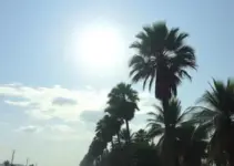 calor intenso