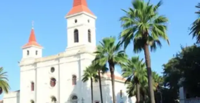 Sesc 80 anos