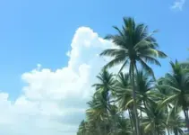 Temperaturas em Palmas