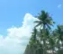 Temperaturas em Palmas