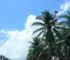 temperatura