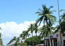 lei seca em Palmas