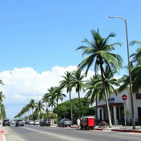 lei seca em Palmas