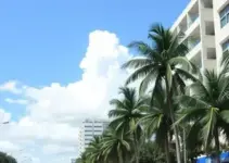Gestão de Upas
