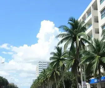 Gestão de Upas