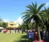 Palmas participa da festa das instituições de acolhimento em Luzimangues