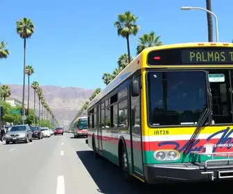 Palmas (TO) reforça operação de ônibus durante primeiro turno das Eleições 2026