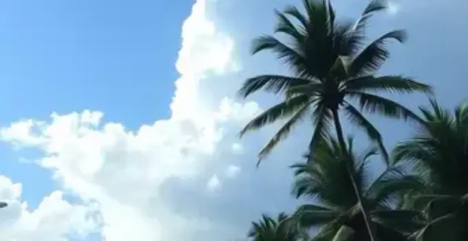 previsão do tempo Palmas