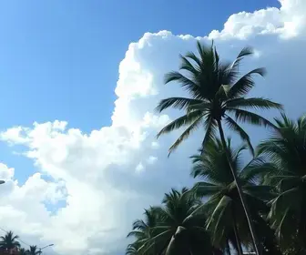 previsão do tempo Palmas