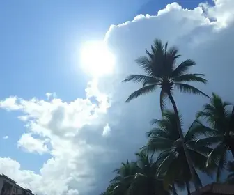 previsão do tempo